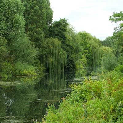 买球的app排行榜前十名推荐下载手机版