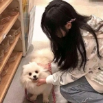 非凡体育APP下载